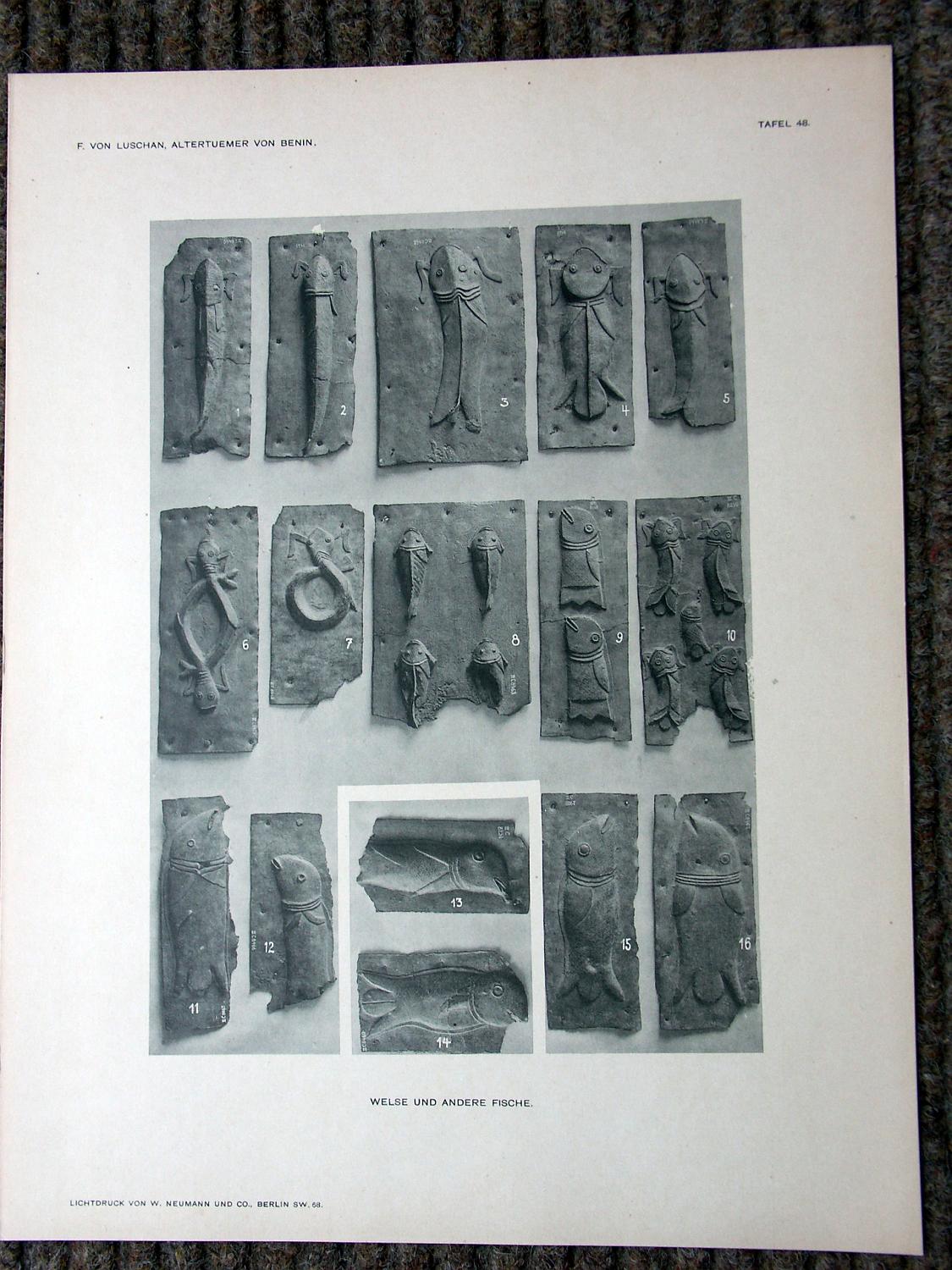 zz-lusc19,tafel 48 benin nigeria,bronze-platte mit wels und anderen fi